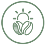 Cultivares